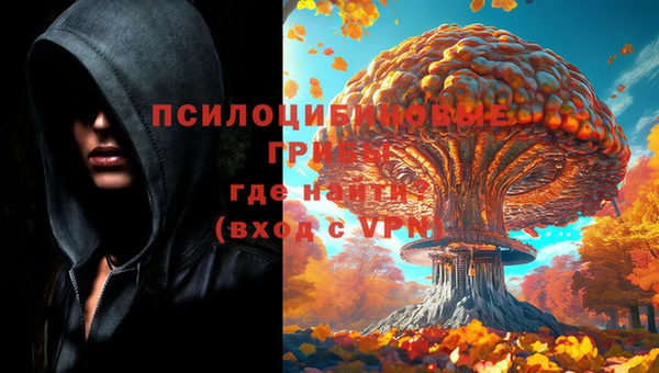 гашик Балахна