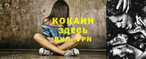 гашик Балахна