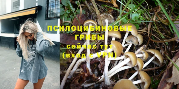 экстази Баксан