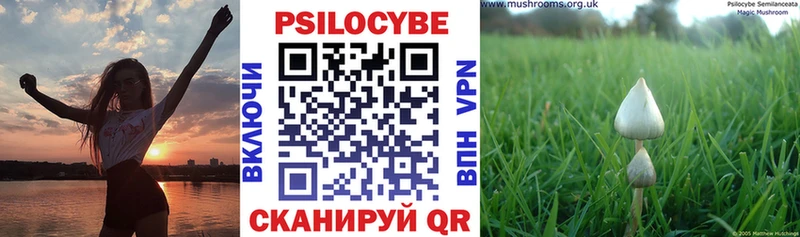 МЕГА ONION  где можно купить наркотик  Старая Русса  Галлюциногенные грибы Cubensis 